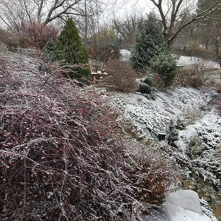 Πανσιόν Levendulas Vendeghaz