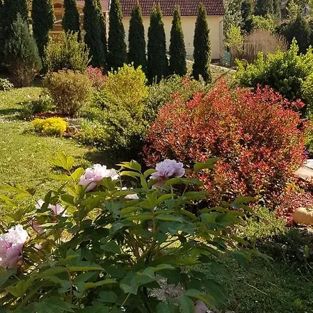 Levendulas Vendeghaz Guest house