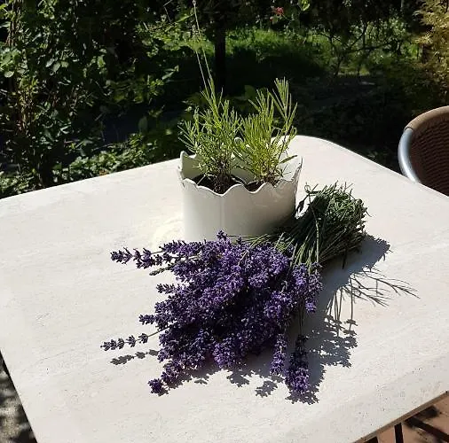 Levendulas Vendeghaz 3*