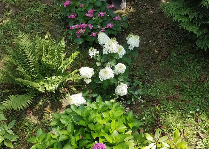 בית הארחה Levendulas Vendeghaz