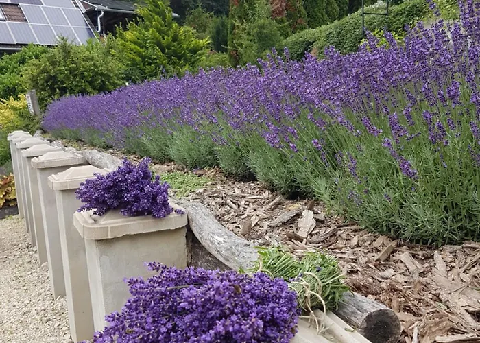 Gæstehus Levendulas Vendeghaz