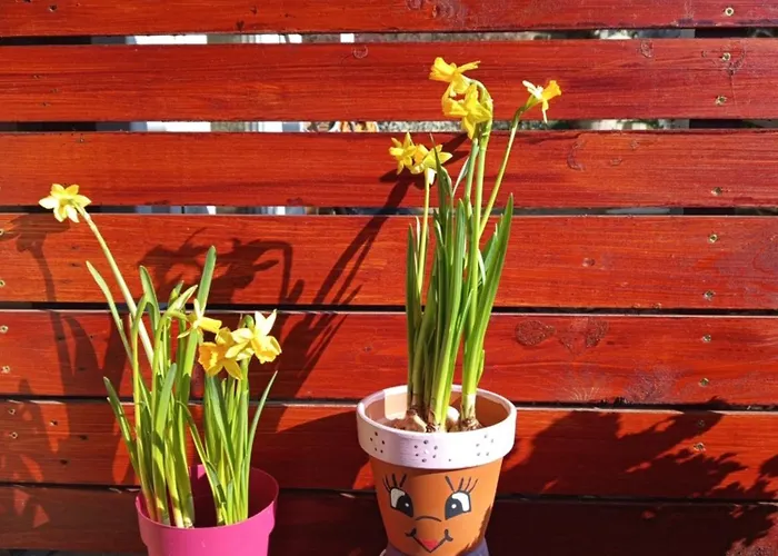 בית הארחה Levendulas Vendeghaz 3*