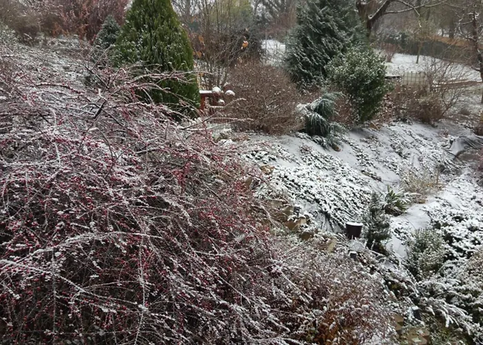 בית הארחה Levendulas Vendeghaz